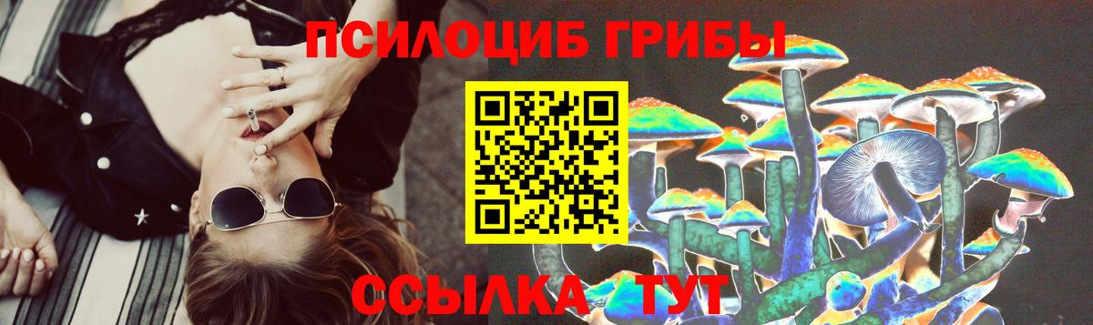 Серов  Псилоцибиновые грибы мухоморы  Вход с VPN  Псилоцибиновые грибы Psilocybine cubensis 